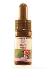 larch-5-ml_42665