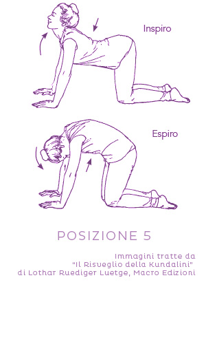 Sequenza di yoga per allineamento 5