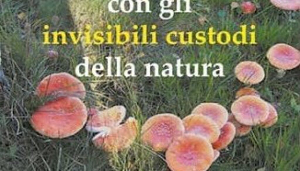 Incontro con gli Invisibili Custodi della Natura