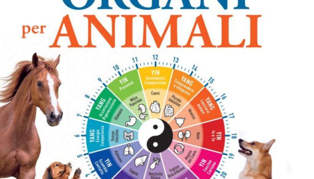 Orologio degli Organi per Animali