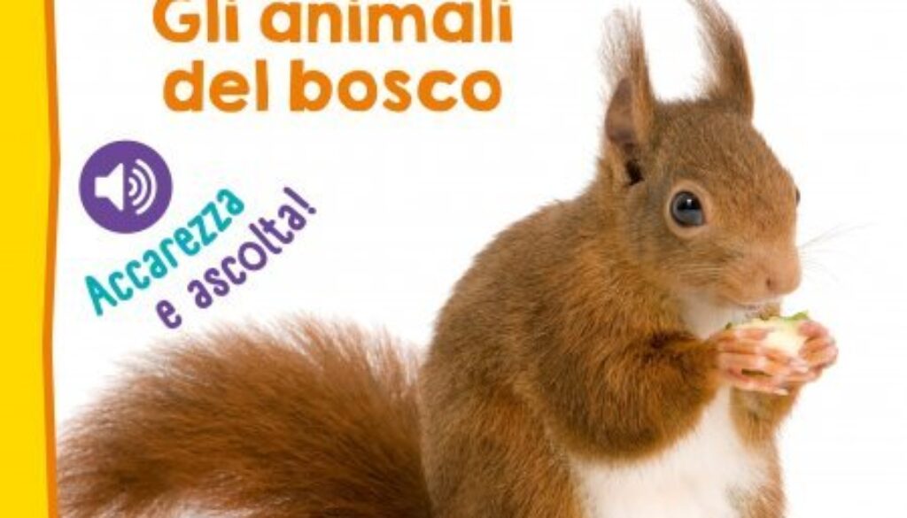 Gli animali del bosco