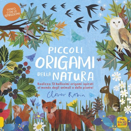 piccoli-origami-della-natura