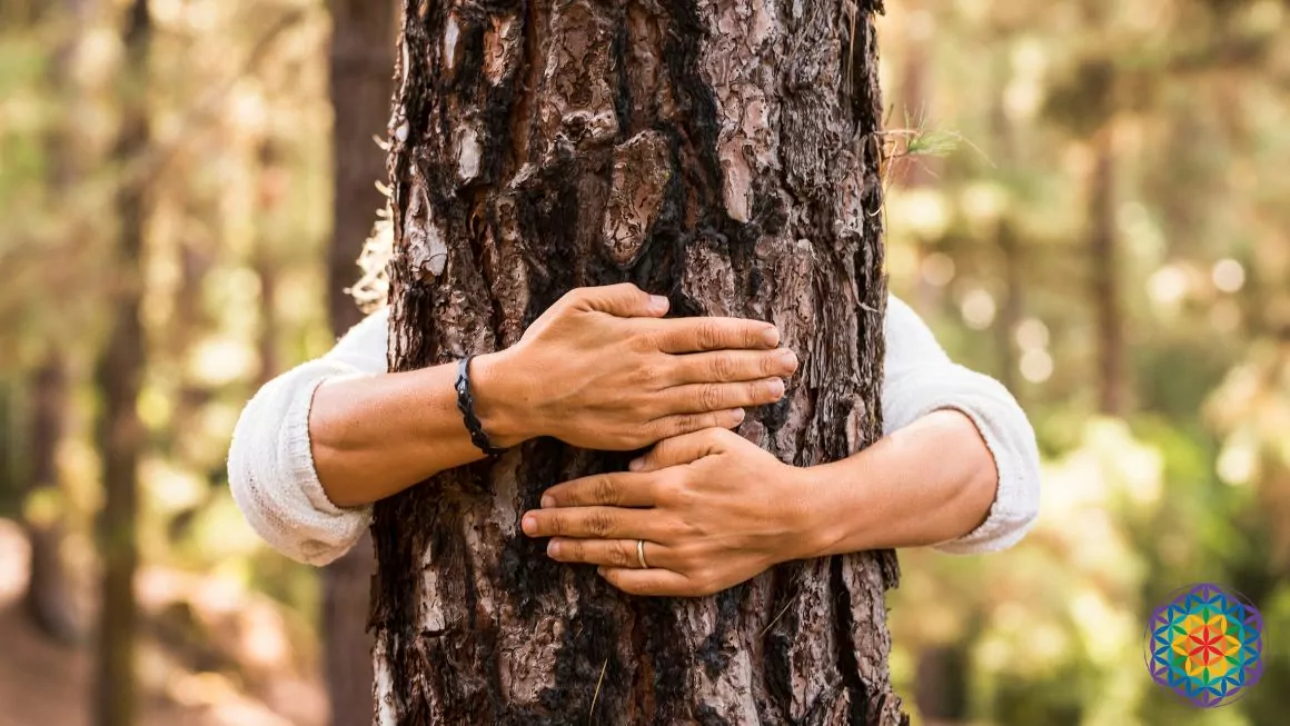 Accogliere i ritmi dell’autunno per rinnovare se stessi