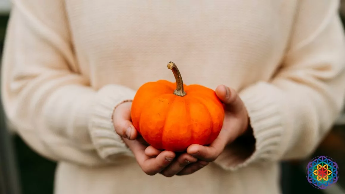 zucca tesoro d'autunno