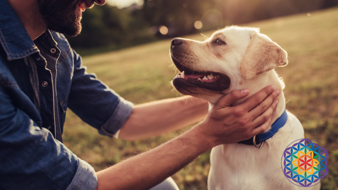 La Giornata del Cane